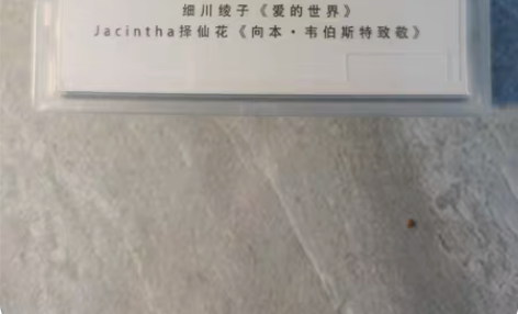 细川绫子《爱的世界》、择仙花《向本韦伯斯特...