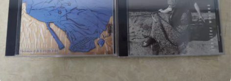 包邮发烧人声cd碟  珍妮弗华恩丝 蓝雨衣...