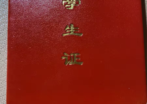 中国音乐学院民族声乐歌剧系， 视频网课一对...