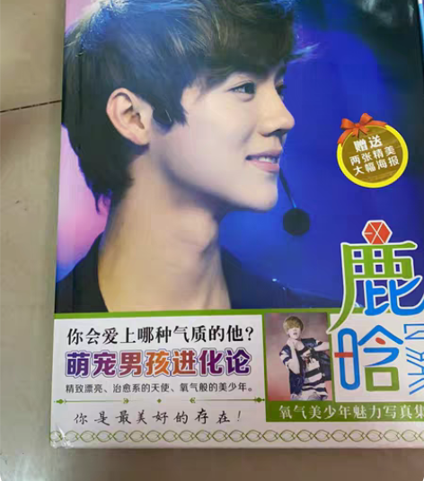 周杰伦 2004无与伦比演唱会 双DVD ...