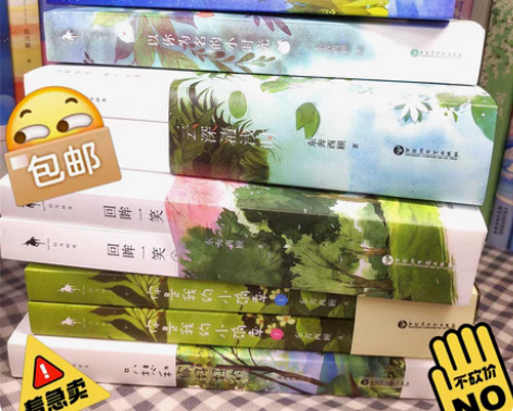 【出】东奔西顾小说合集 《以你为名的小时光...