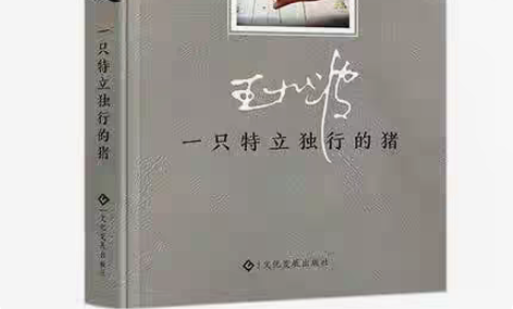 包邮精装一只特立独行的猪王小波经典代表作 ...