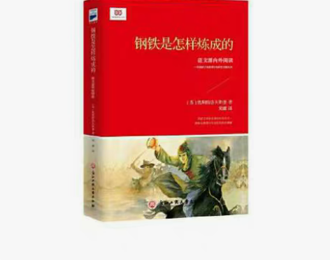 包邮二手钢铁是怎样炼成的（新课标） [苏]...