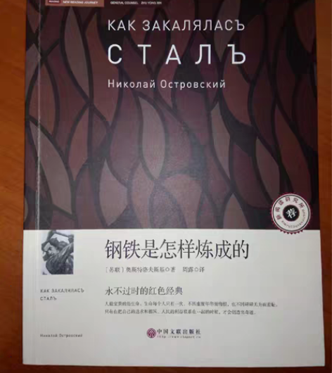 钢铁是怎样炼成的 钢铁是怎样炼成的 编者:...