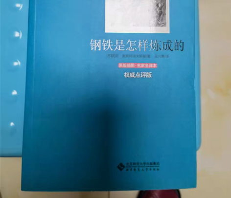 钢铁是怎样炼成的10元,伊索寓言8元,童年...