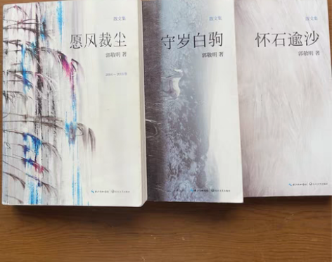 包邮郭敬明散文集《愿风裁尘》《守岁白驹》《...