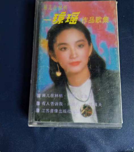 琼瑶作品歌集，雁儿在林梢磁带。。箱4 感兴...