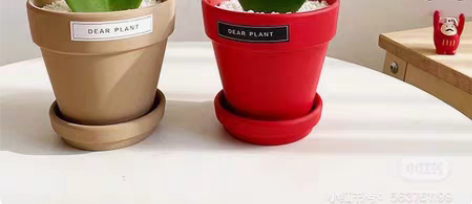 包邮盆栽  人间值得 你当像鸟飞往你的山 ...