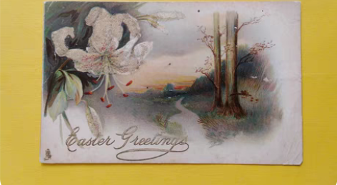 包邮外国早期邮品保真【美国1919年左右植...