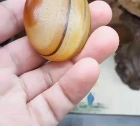 红与黑 对称,禅意,灵动之美 双面螺旋3...