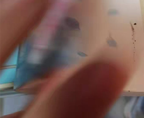 中小学必背古诗词诵读日历 感兴趣的话点“我...