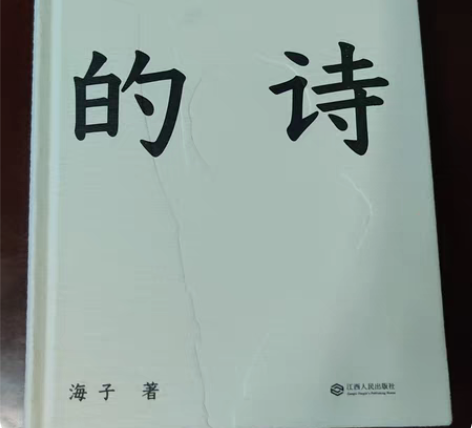 非常喜欢海子。所以读的时候也是很小心，缺钱...