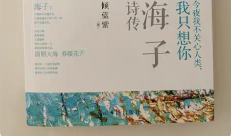 海子诗传   京东购入正版图书，只看过一次...