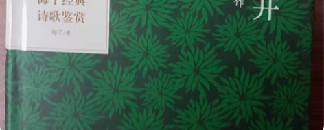 包邮面朝大海 春暖花开 海子诗集 感兴趣的...