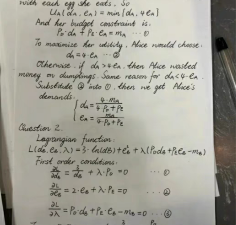 留学生辅导学习答疑，英文答疑金融/经济/数...