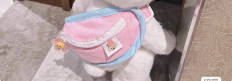 C语言程序/数据结构/PAT乙级,甲级/学...