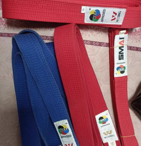 空手道道带红蓝 组手 型 金标道带 感兴趣...