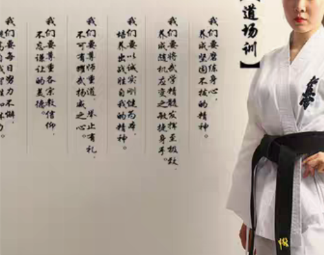 转卖空手道服 空手道 纯棉空手道道服 双节...