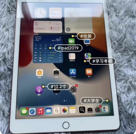 自用iPad 2019款   128G 功...