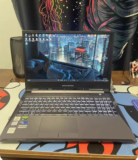 1650ti独显 十代i7 机械师T58游...