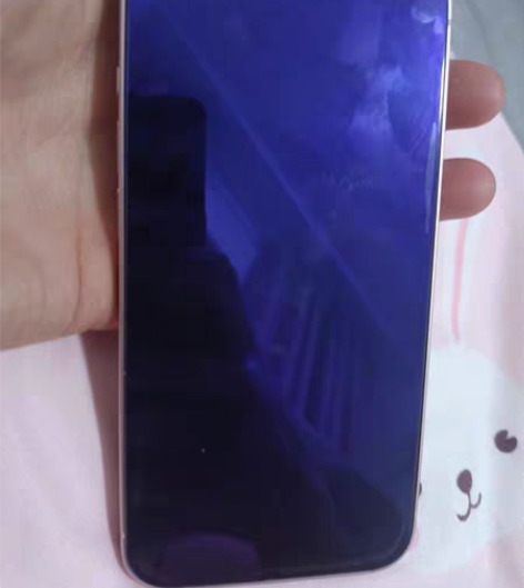 包邮iPhone 13  256G粉色 自...