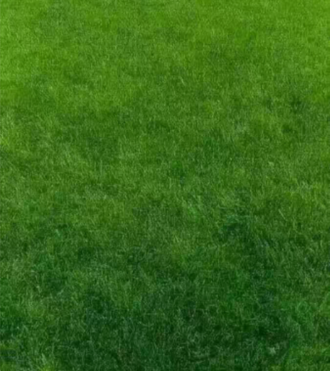 帮人送起诉书 天天路过番禺区法院门口， 自...