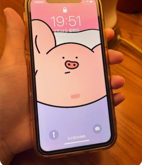 出自用iPhone xr  国行白色64G...