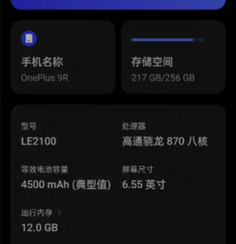 OnePlus一加9r  12+256顶配...
