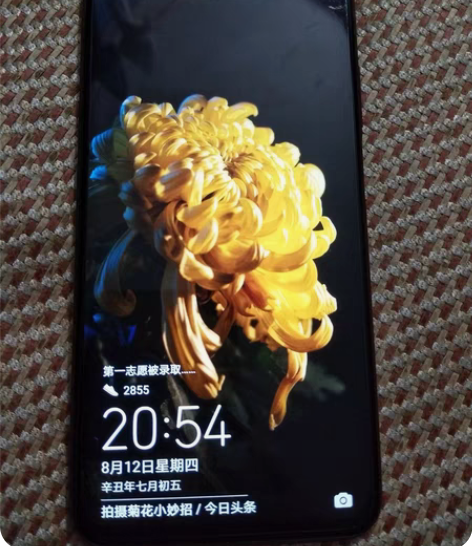 包邮(急出）荣耀9x(鸿蒙系统），成色98...