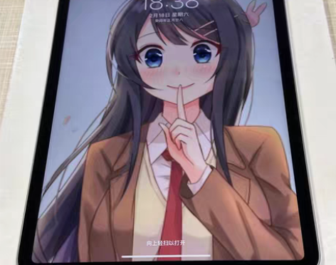 包邮99新Apple/苹果 iPad Pr...