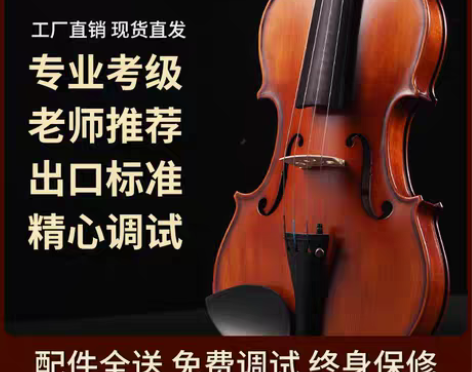 转卖Saphony小提琴儿童成人初学者学生...
