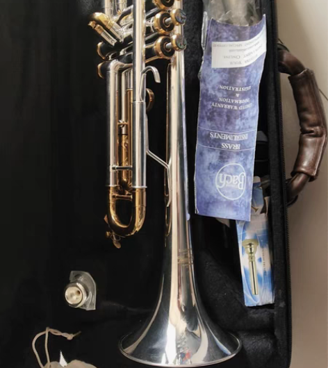 全新巴哈小号包邮看好不退 感兴趣的话点“我...