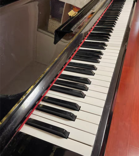 经典钢琴 成人、小朋友都适合 小学生坚持不...