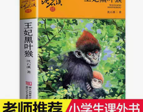 包邮王妃黑叶猴(升级版)王妃黑叶猴 沈石溪...