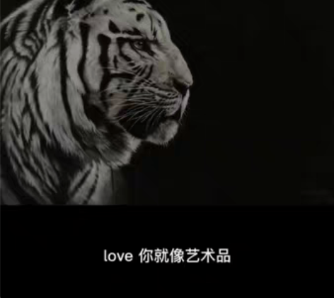 包邮二开炭笔素描《白虎》， 感兴趣的话点“...