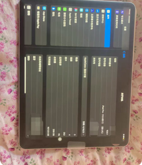 出21款Apple ipad  pro 2...