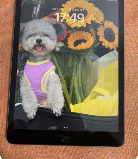 包邮【便宜出】2020款iPad Air4...