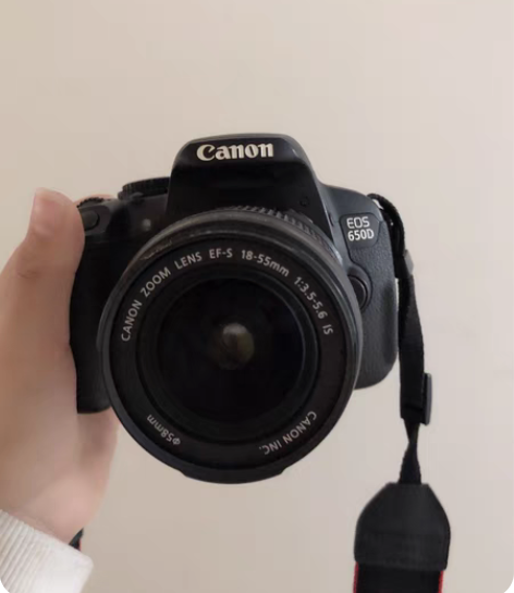 佳能单反摄影650D?18-55的镜头 自...