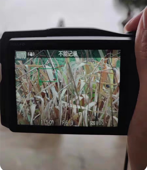 佳能摄月便携式微单powershot SX...