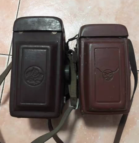 包邮老相机海鸥已出,还剩牡丹一个,好不好使...