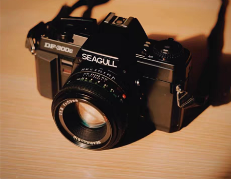 术直 | 专业级胶片单反国货经典凤凰海鸥旁...