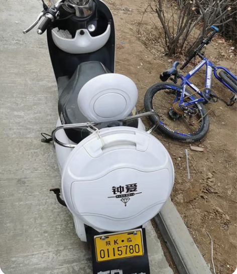 电动车 买下接送孩子半年一直放着吃灰 电瓶...