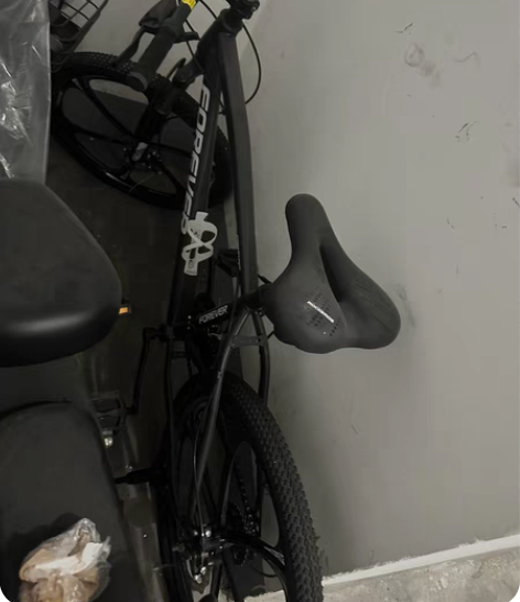 买了半年的永久自行车，骑了5次，一直在吃灰...