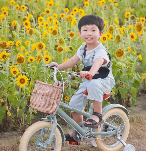 凤凰儿童自行车 自提???轻微使用痕迹Ph...