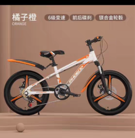 凤凰20寸儿童自行车 轻微使用痕迹,买回来...