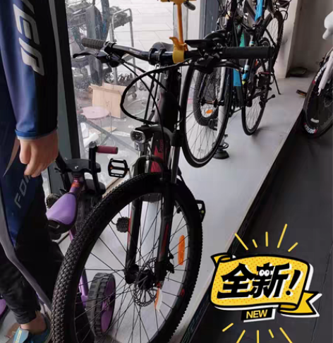 喜德盛Xds 锂电电动自行车 中置电机 注...