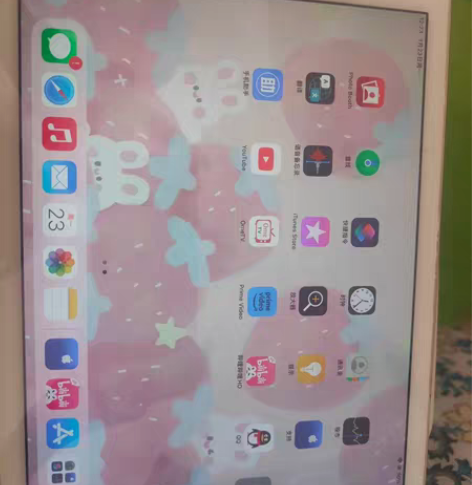 iPad  air2  64g 电池容量9...