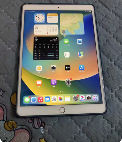包邮iPad pro10.5 64g平时用...