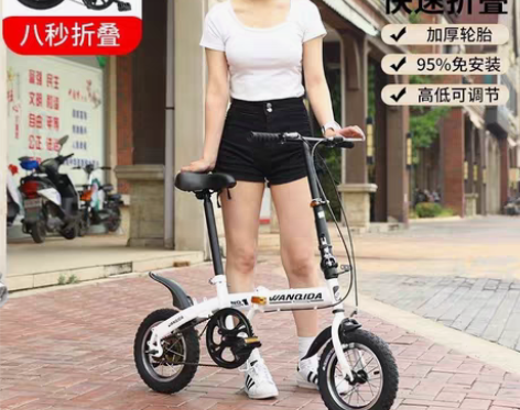 12寸折叠自行车， 九成新 因搬家转卖 宝...