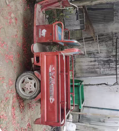 闲置飞鹤爬坡王电动3轮车一辆，给钱就卖！ ...